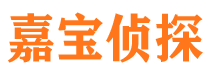 日喀则侦探